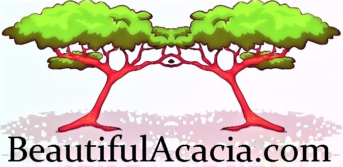 BeautifulAcacia.com